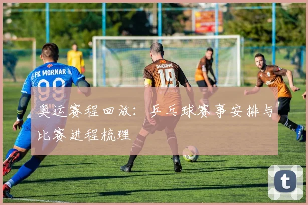 奥运赛程回放：乒乓球赛事安排与比赛进程梳理