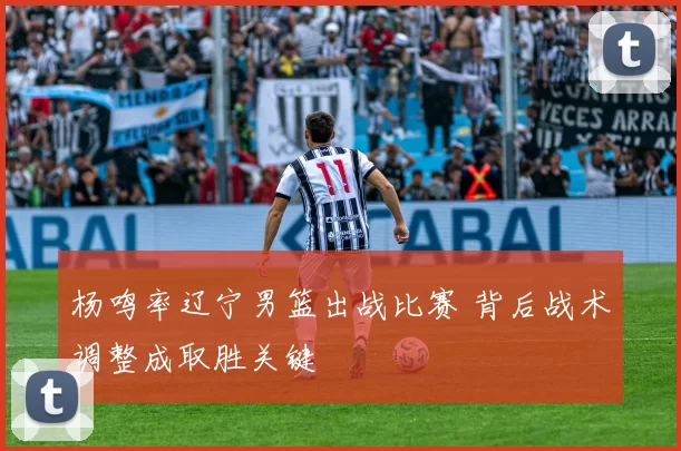 杨鸣率辽宁男篮出战比赛 背后战术调整成取胜关键