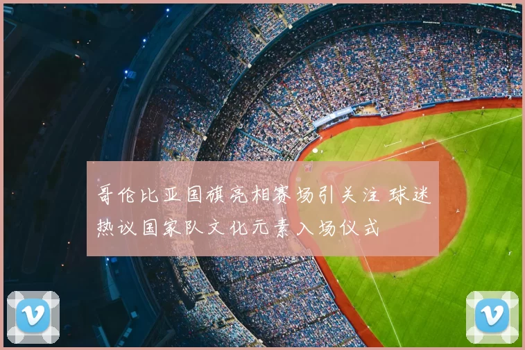 哥伦比亚国旗亮相赛场引关注 球迷热议国家队文化元素入场仪式