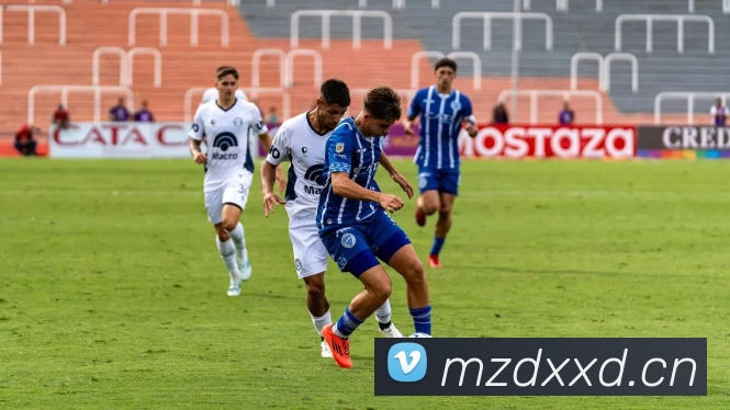 滚球官网app平台生态图