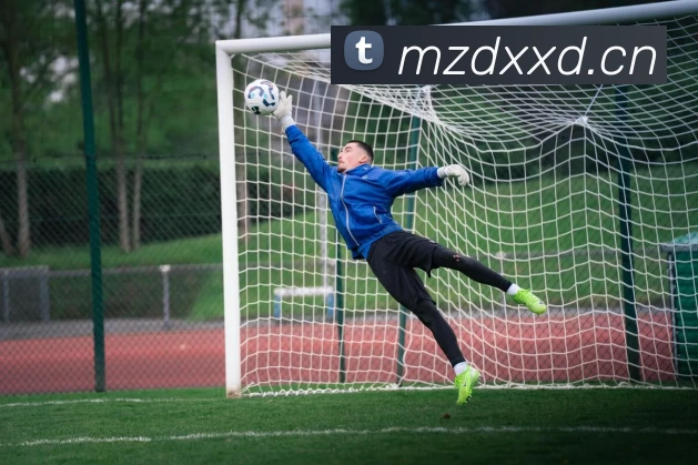 滚球官网app全站App